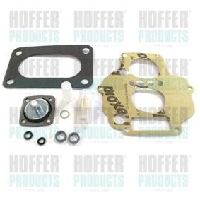 Reparatursatz, Vergaser W267