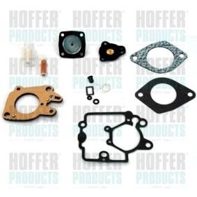 Reparatursatz, Vergaser W543