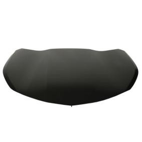 Motorhaube 6803-00-1196280P