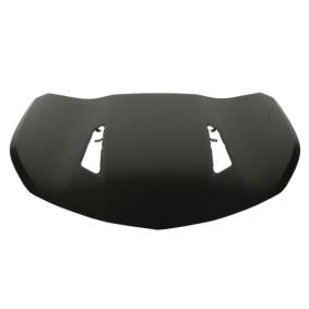 Motorhaube 6803-00-1196281P