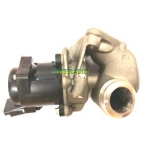 Comprar Válvula EGR de INTFRADIS 2580 E a bajo precio de 128,69 €
