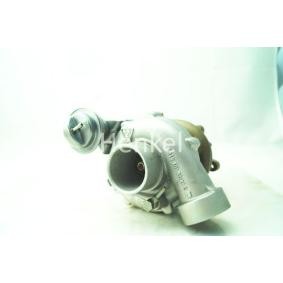 Turbolader 5110331R