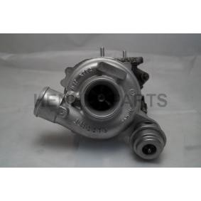 Kjøp Turbolader av Henkel Parts 5111626N til den lave prisen 8464,70 NOK