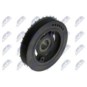 Achetez des Poulie damper (vilebrequin) NTY RKP-MZ-006 à prix pour 53,40 €