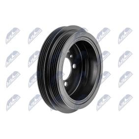 Achetez des Poulie damper (vilebrequin) NTY RKP-MZ-009 à prix pour 54,38 €