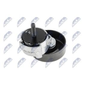 Comprar Polea tensora, correa poli V de NTY RNK-CH-009 a bajo precio de 49,97 €