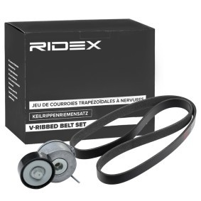 Achetez des Kit de courroie d'accessoire de chez RIDEX en ligne pour Jumpy III Camion plate-forme/Châssis (V) à prix modérés