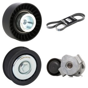 Achetez des Jeu de courroies trapézoïdales à nervures RIDEX 542R0097 à prix pour 99,69 €