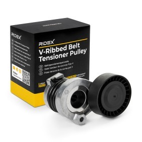 Spannrolle, Keilrippenriemen 310T0291