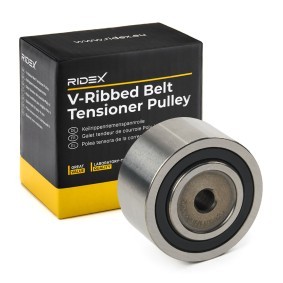 Achetez des Galet enrouleur de courroie d'accessoire RIDEX 312D0095 à prix pour 18,96 €