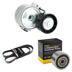 Achetez des Kit de courroie d'accessoire de chez RIDEX en ligne pour Ducato II Camion plate-forme/Châssis (244) à prix modérés