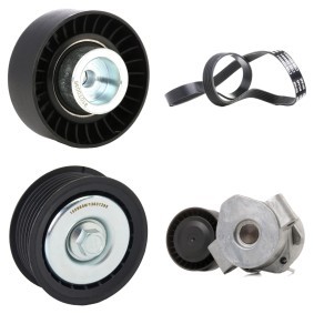 Achetez des Jeu de courroies trapézoïdales à nervures RIDEX 542R0135 à prix pour 96,70 €