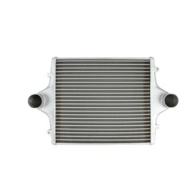 Achetez des Intercooler CZM 81300131 à prix pour 546,89 €