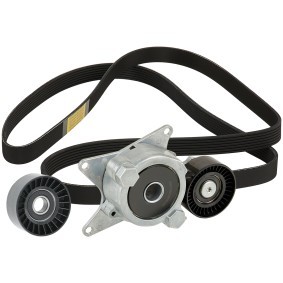 Achetez des Jeu de courroies trapézoïdales à nervures RIDEX 542R0171 à prix pour 166,61 €