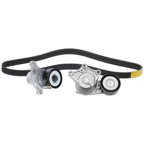 Achetez des Kit de courroie d'accessoire de chez RIDEX en ligne pour C4 II Berline (NC) à prix modérés