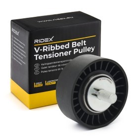 Comprar Polea inversión / guía, correa poli V de RIDEX 312D0101 a bajo precio de 27,04 €