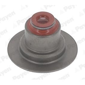 Dichtungssatz, Ventilschaft HR5145