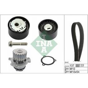 Achetez des Kit de distribution + pompe à eau INA 530 0536 30 à prix pour 111,42 €