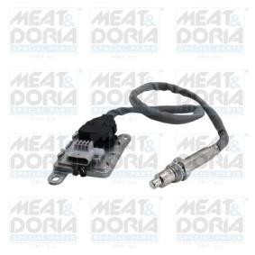 NOx-Sensor, NOx-Katalysator von MEAT & DORIA