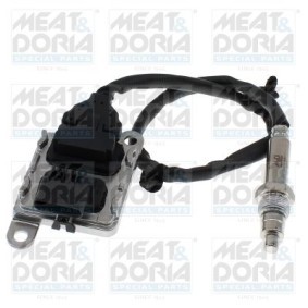 NOx-Sensor, NOx-Katalysator von MEAT & DORIA