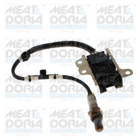 NOx-Sensor, NOx-Katalysator von MEAT & DORIA