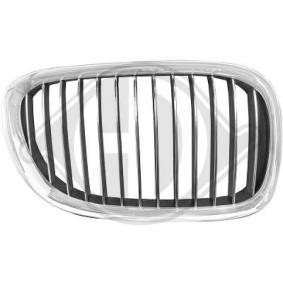 Kühlergrill 1244040