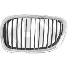 Kühlergrill 1244041