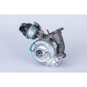 Turbolader von BorgWarner