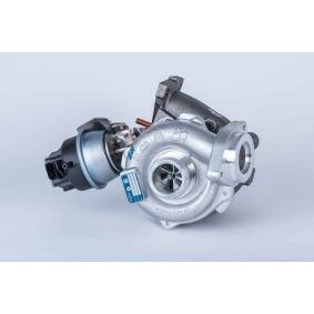 Turbolader 53039880190 von BorgWarner günstig für 723,83 € online kaufen