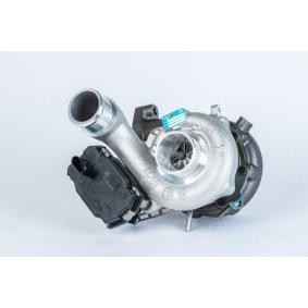 Turbolader von BorgWarner 53039880432