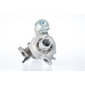 Acquista Turbina da BorgWarner 57399880004 a buon mercato per soli 742,14 €