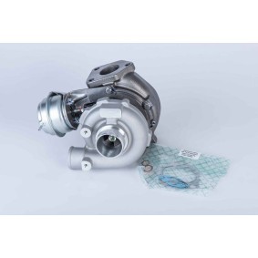 Kjøp Turbolader av BorgWarner 57439880003 til den lave prisen 8151,68 NOK