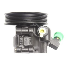 Servopumpe BFR93D