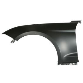 Kotflügel 6504-04-2589313P
