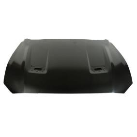 Motorhaube 6803-00-2589280P
