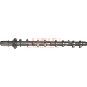 Acquista Albero a camme da IAP QUALITY PARTS 124-17150G a buon mercato per soli 567,15 €