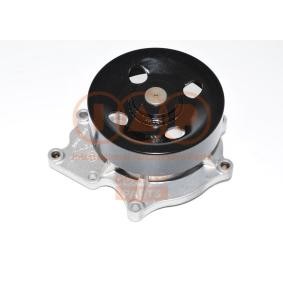Achetez des Pompe à eau de chez IAP QUALITY PARTS en ligne pour REXTON (Y400) à prix modérés