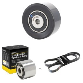 Achetez des Kit de courroie d'accessoire de chez RIDEX en ligne pour Scudo I Break (220) à prix modérés