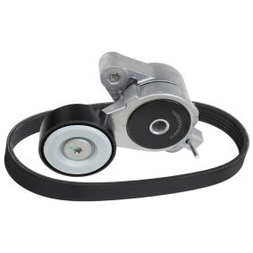 Keilrippenriemensatz 542R0270 VOLKSWAGEN TIGUAN von RIDEX