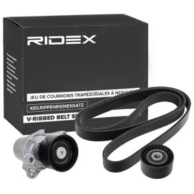 Achetez des Kit de courroie d'accessoire de chez RIDEX en ligne pour Talento Camion plate-forme/Châssis (296) à prix modérés