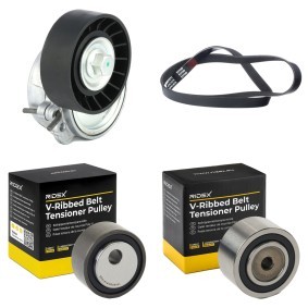 Achetez des Kit de courroie d'accessoire de chez RIDEX en ligne pour Jumper I Camion plate-forme/Châssis (244) à prix modérés