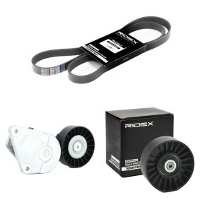Achetez des Jeu de courroies trapézoïdales à nervures RIDEX 542R0348 à prix pour 66,42 €