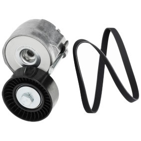 Achetez des Kit de courroie d'accessoire de chez RIDEX en ligne pour Ducato III Van (250, 290) à prix modérés