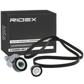 Achetez des Jeu de courroies trapézoïdales à nervures RIDEX 542R0423 à prix pour 71,51 €