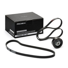 Achetez des Jeu de courroies trapézoïdales à nervures RIDEX 542R0446 à prix pour 40,07 €