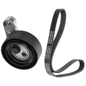 Achetez des Jeu de courroies trapézoïdales à nervures RIDEX 542R0462 à prix pour 36,86 €