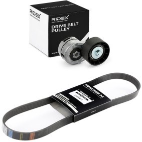 Achetez des Jeu de courroies trapézoïdales à nervures RIDEX 542R0508 à prix pour 42,33 €