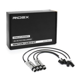 Osta Sytytysjohtosarja RIDEX:llä 685I0329 edullisesti hintaan 36,71 €