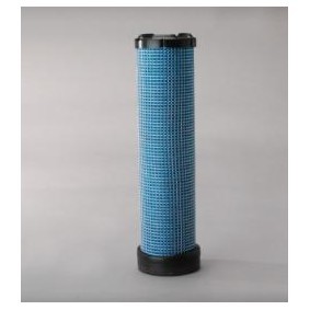 Sekundärluftfilter P829333