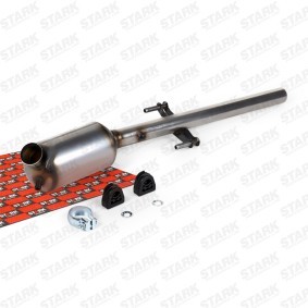 Köp Partikelfilter (DPF) av STARK SKSPF-2590138 till det låga priset 5755,65 kr